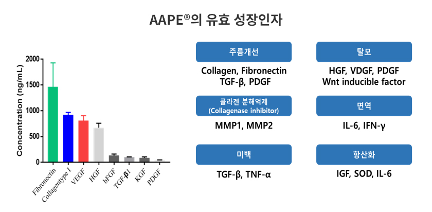 AAPE®의 유효 성장인자