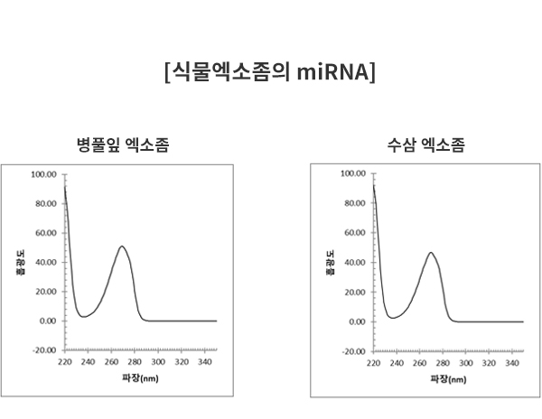 식물엑소좀의 miRNA