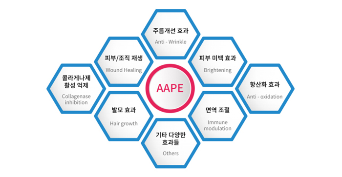 AAPE의 함유 단백질의 분석 및 주요특징