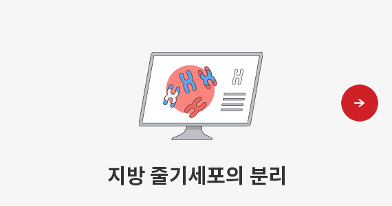 지방 줄기세포의 분리