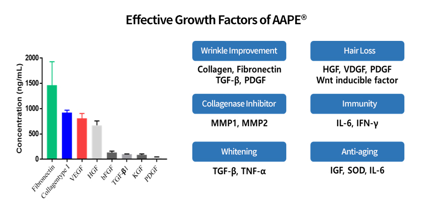 AAPE®의 유효 성장인자