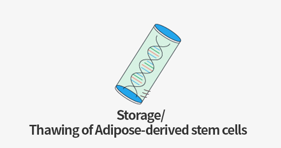 Storage/Thawing of Adipose-derived stem cells