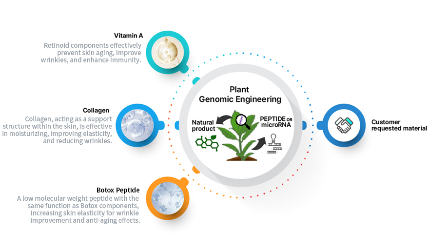 Plant Genomic Engineering